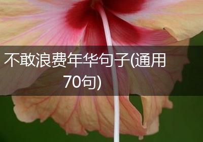 不敢浪费年华句子(通用70句)