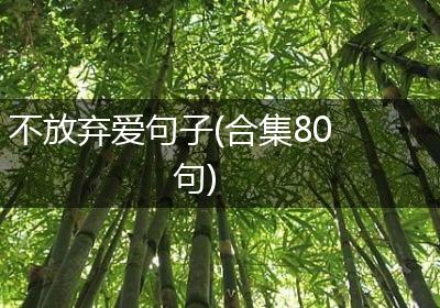 不放弃爱句子(合集80句)