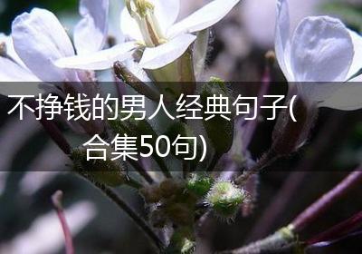 不挣钱的男人经典句子(合集50句)