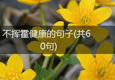 不挥霍健康的句子(共60句)