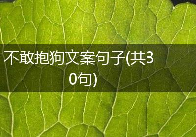 不敢抱狗文案句子(共30句)