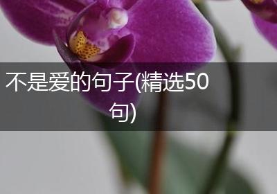 不是爱的句子(精选50句)