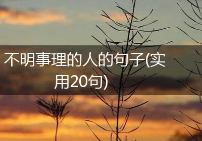 不明事理的人的句子(实用20句)