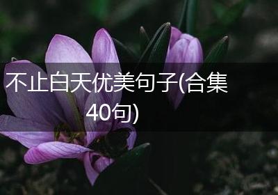 不止白天优美句子(合集40句)