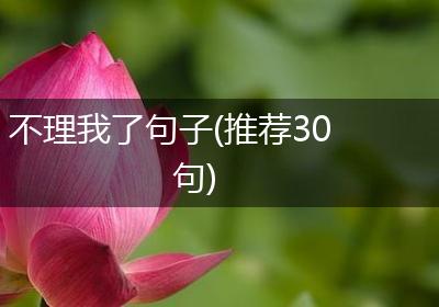不理我了句子(推荐30句)