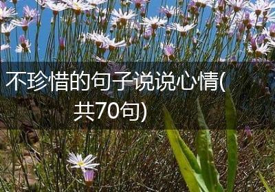 不珍惜的句子说说心情(共70句)