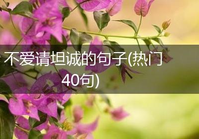 不爱请坦诚的句子(热门40句)