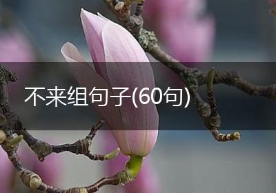 不来组句子(60句)