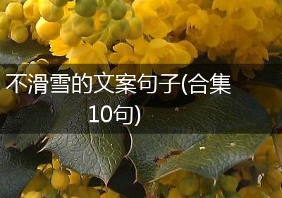 不滑雪的文案句子(合集10句)