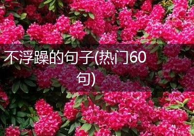不浮躁的句子(热门60句)