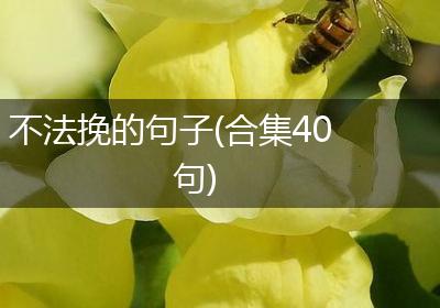不法挽的句子(合集40句)