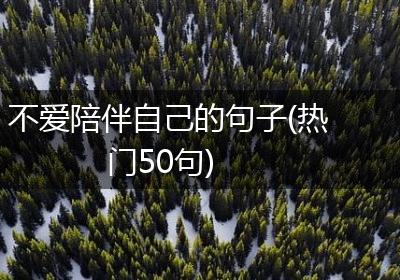 不爱陪伴自己的句子(热门50句)
