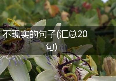 不现实的句子(汇总20句)