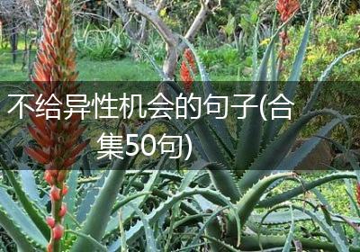 不给异性机会的句子(合集50句)