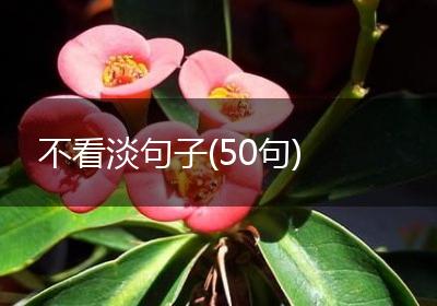 不看淡句子(50句)