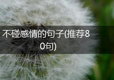 不碰感情的句子(推荐80句)
