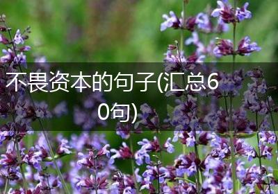 不畏资本的句子(汇总60句)