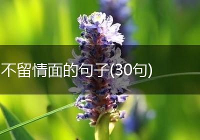 不留情面的句子(30句)
