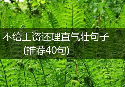 不给工资还理直气壮句子(推荐40句)