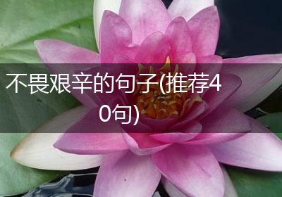 不畏艰辛的句子(推荐40句)