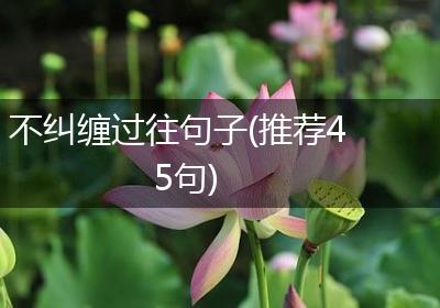 不纠缠过往句子(推荐45句)