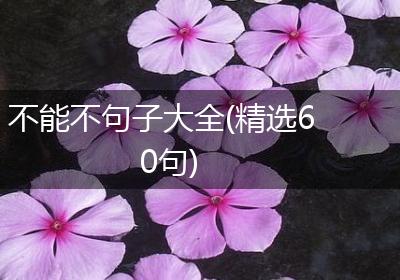 不能不句子大全(精选60句)