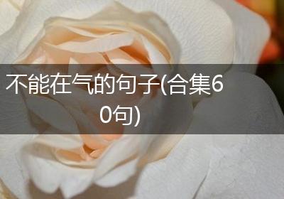 不能在气的句子(合集60句)