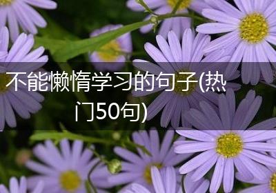不能懒惰学习的句子(热门50句)