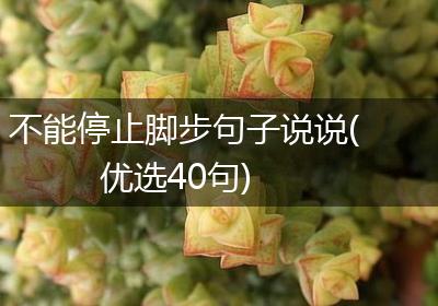 不能停止脚步句子说说(优选40句)