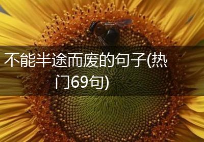 不能半途而废的句子(热门69句)