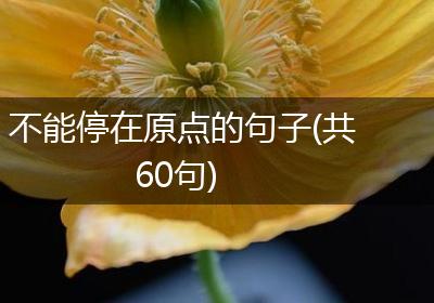 不能停在原点的句子(共60句)