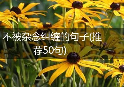 不被杂念纠缠的句子(推荐50句)
