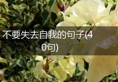 不要失去自我的句子(40句)