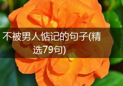不被男人惦记的句子(精选79句)