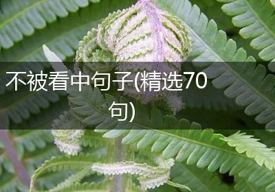 不被看中句子(精选70句)