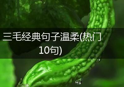 三毛经典句子温柔(热门10句)