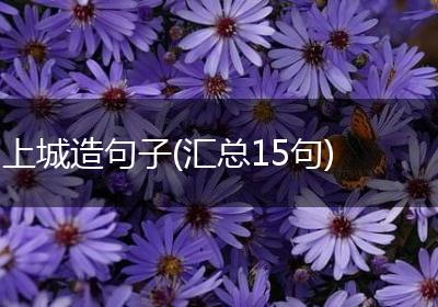 上城造句子(汇总15句)