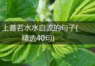上善若水水自流的句子(精选40句)