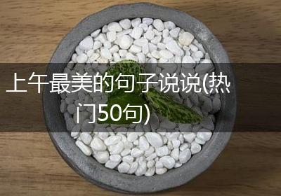 上午最美的句子说说(热门50句)