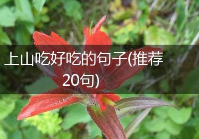 上山吃好吃的句子(推荐20句)