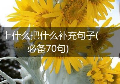 上什么把什么补充句子(必备70句)