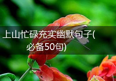 上山忙碌充实幽默句子(必备50句)