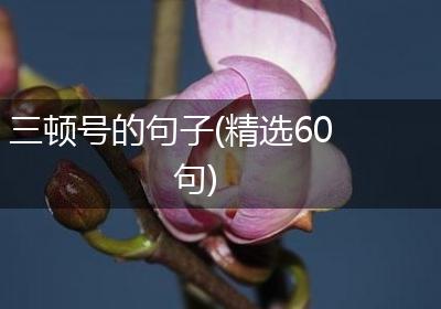 三顿号的句子(精选60句)