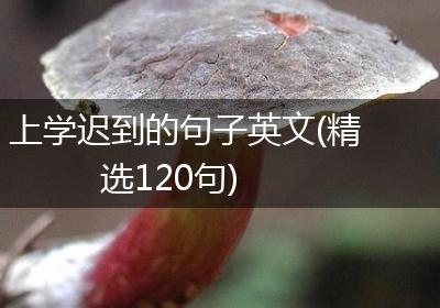 上学迟到的句子英文(精选120句)