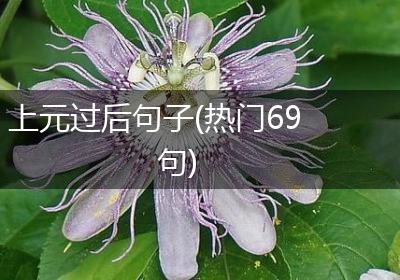 上元过后句子(热门69句)