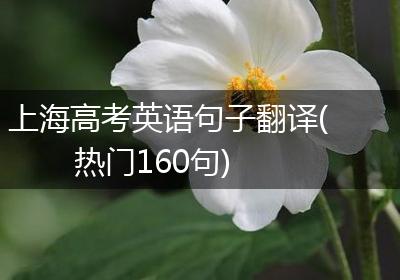 上海高考英语句子翻译(热门160句)