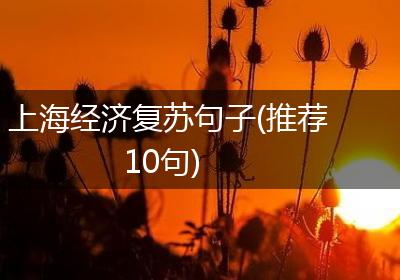 上海经济复苏句子(推荐10句)