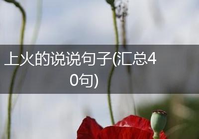 上火的说说句子(汇总40句)