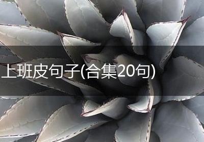 上班皮句子(合集20句)
