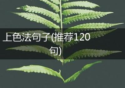 上色法句子(推荐120句)